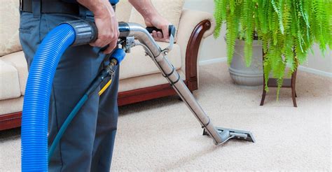 carpet cleaners near 45424
